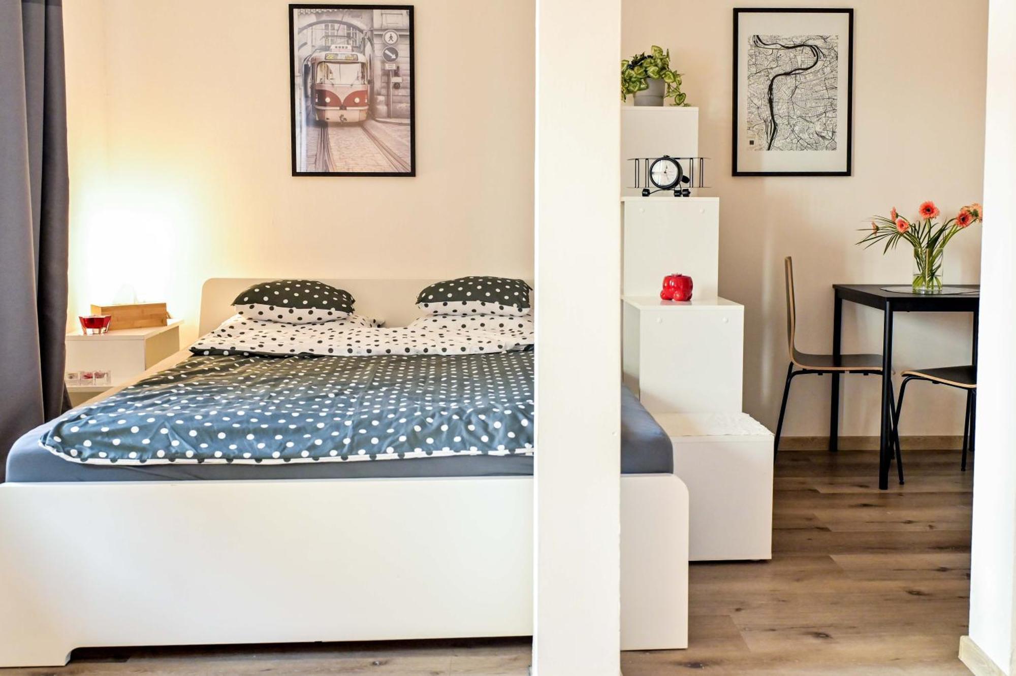 Modern Krymska & Francouzska Street Apartment Prague